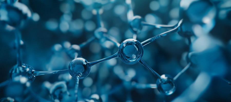 February 2026 Market Overview