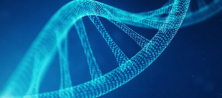 August 2025 Market Overview