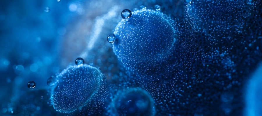 November 2024 Market Overview